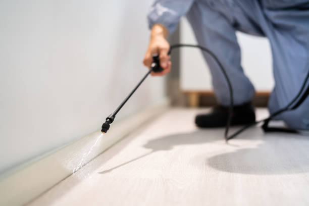 Licensed Pest Control service in Siloam Springs, AR - Show Me Pest Control