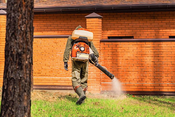 Bed Bug Clearance Verification and Documentation in Siloam Springs